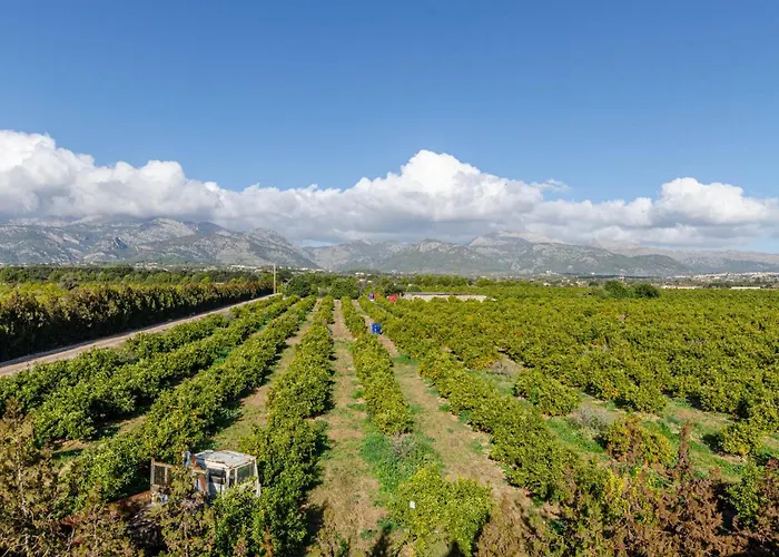 Agroturismo El Limonar 4, Yourhouse